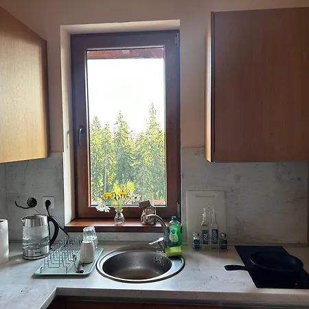 гранд ризорт с камином и видом на лес