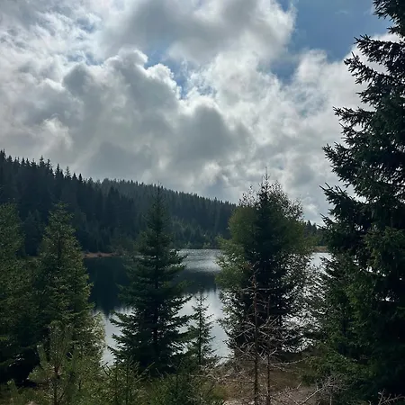 гранд ризорт с камином и видом на лес * Pamporovo