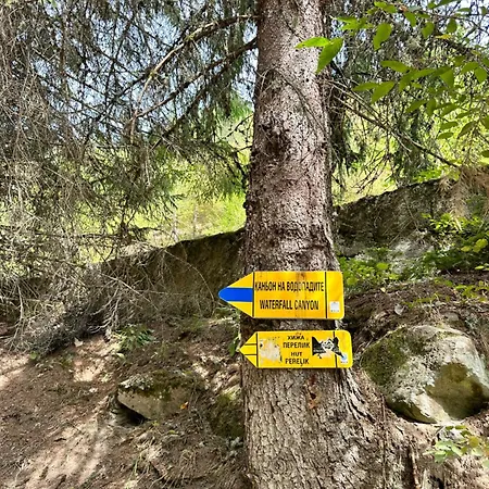 شقة гранд ризорт с камином и видом на лес بامبوروفو