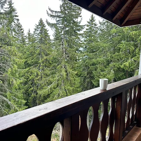 гранд ризорт с камином и видом на лес Pamporovo